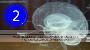 РАК и междоминантные взаимоотношения головного мозга человека. Лекция №2
