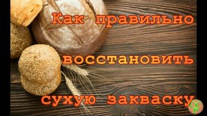 Восстанавливаем силы... у закваски. Как восстановить сухую закваску.