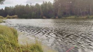 Рыбалка в Нижнем Тагиле. Осень 2022. Результат ноль. Валёгин Бор.