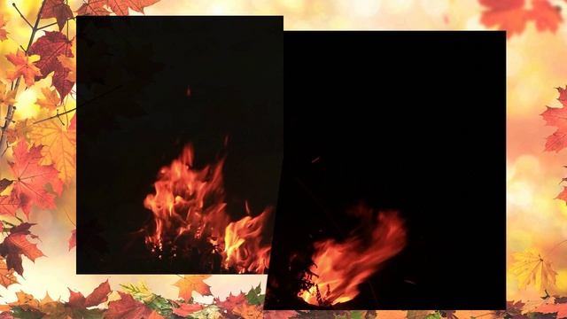 Лебеди летят смотреть онлайн