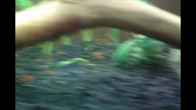 Мой новый Малявочник смотреть онлайн