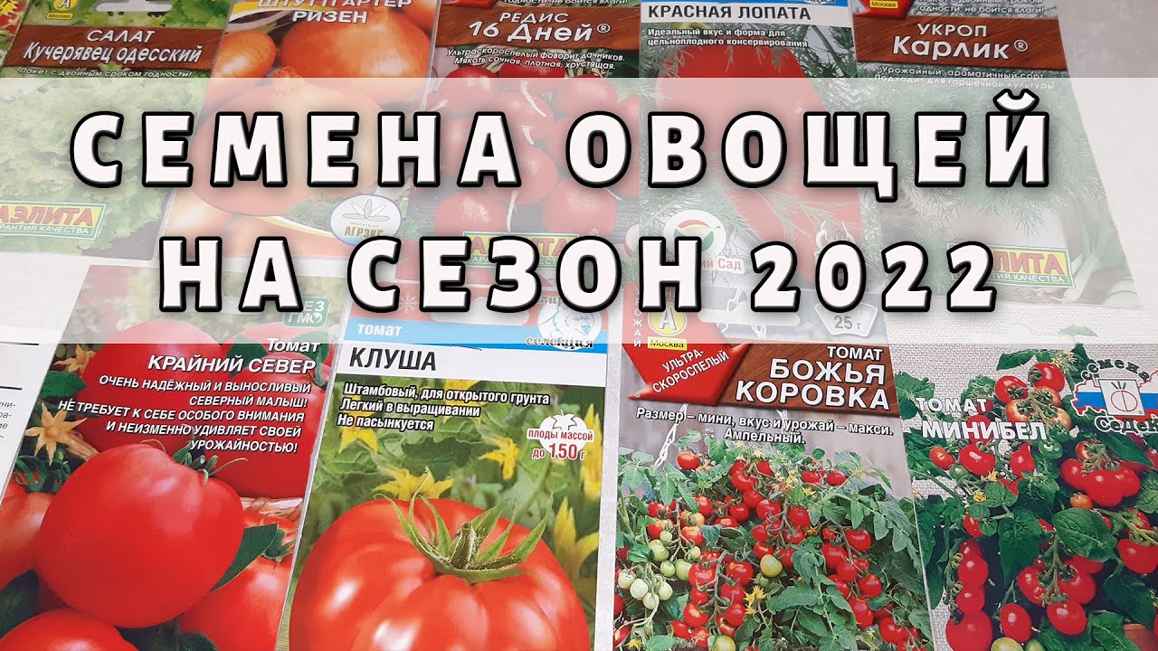 Семена овощей на сезон 2022