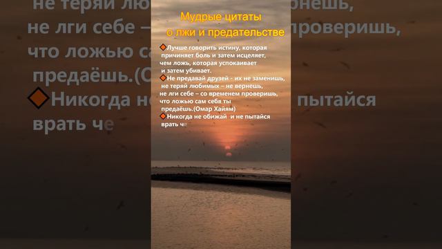 03.Про ложь и предательство...#shorts#философия#мудрыеслова