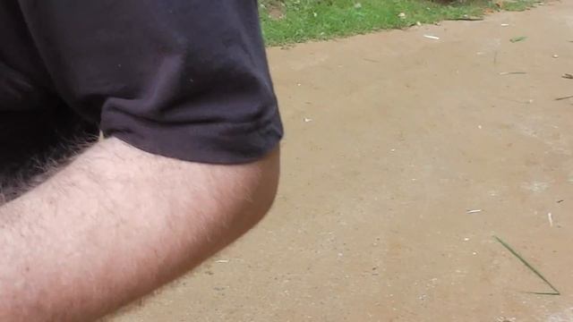 Пхукет.Слоны смотреть онлайн