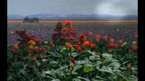 чудеса природы - мое слайд-шоу