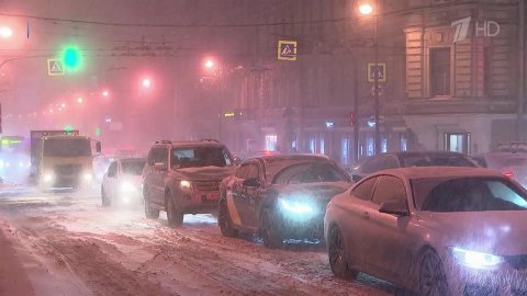 В Москве прошел редкий вид снегопада с крупными хлопьями, который называют "черная метель"