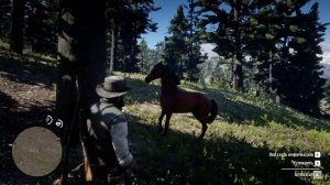 Red Dead Redemption 2 Красно-рыжая Арабская лошадь