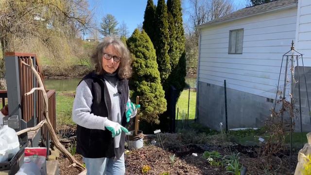 FERTILIZING GARDEN AND SPECIMEN POTS🌞 смотреть онлайн