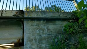 Мост.Тверецкий канал.Вышний Волочек.