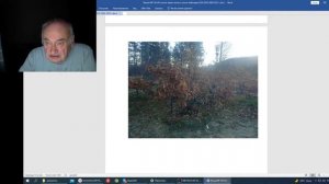 Железов В. Вебинар 154. Крупноплодные абрикосы под красноярском.mp4