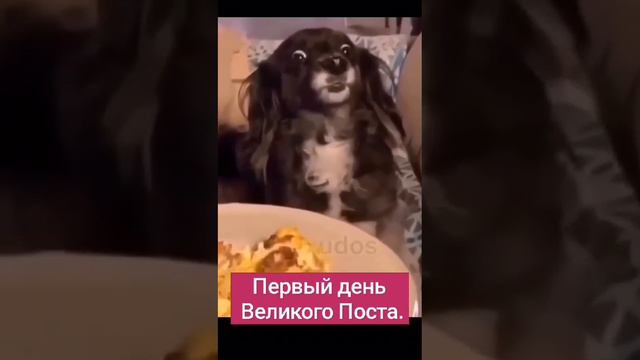 первый день поста