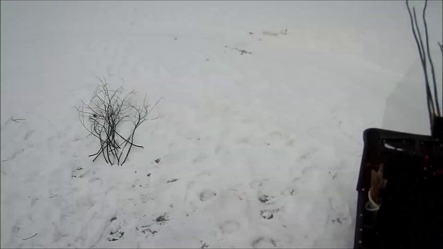 НАЛИМ НА ЗАКИДУШКИ  /  ЧАСТЬ 1 /  НА КРЕВЕТКУ