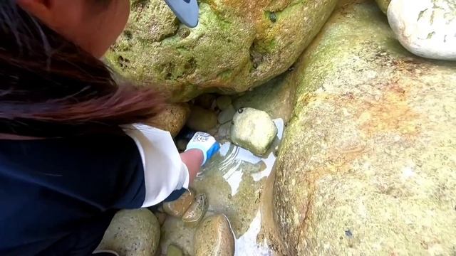 Giant devil crab, rainbow fish, giant octopus. Too much seafood here смотреть онлайн