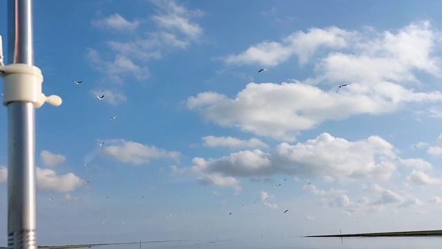 Прогулка и рыбалка на катере в Атлантическом океане. Франция