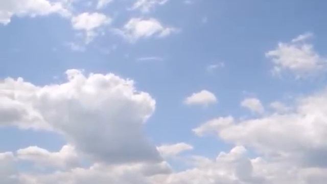 "Глазами перелетных птиц" cover version rutnina смотреть онлайн