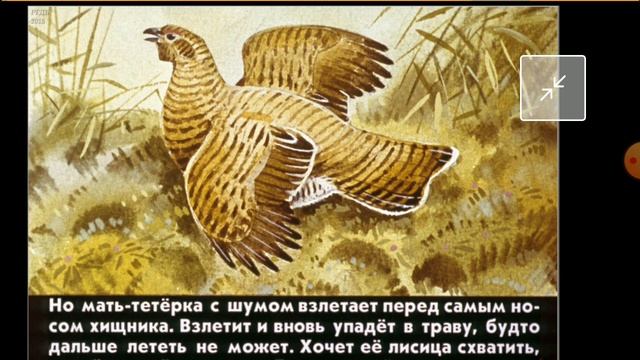 Диафильм звуковой Кто как лето проводит