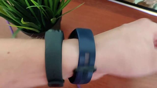 Miband 4 рядом с honor band 4 мнение пользователя