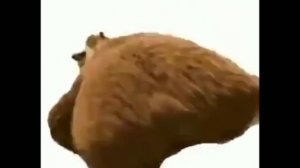 Медведь флексит под 16-бит музыку один час?