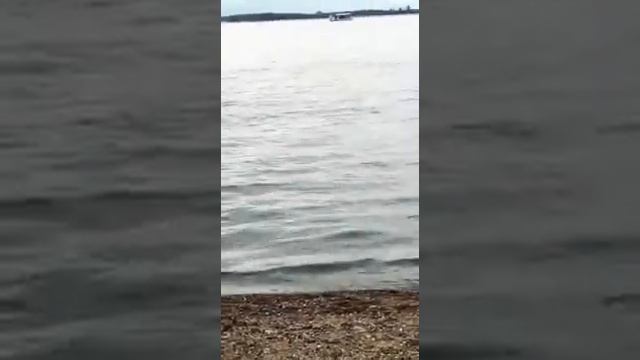 Учимся плавать под водой в р. Амур