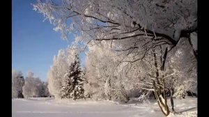 Зима в Гатчине.