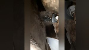 Защита бензобака RENAULT