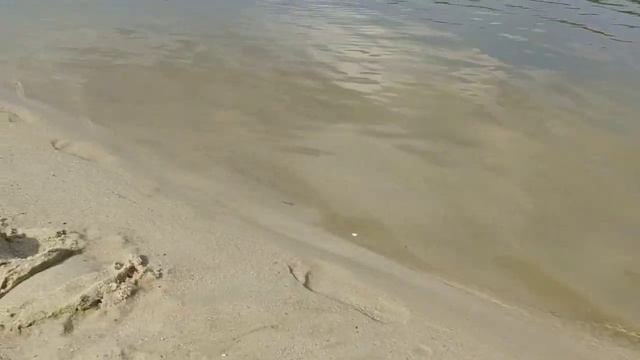 Кривоборье. Красивое место недалеко от Воронежа