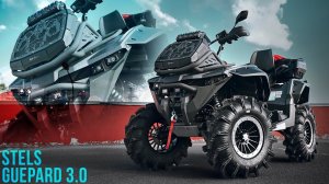 НОВЫЙ ОБВЕС ОТ AGV TECH НА ТВОЙ STELS GUEPARD. STELS GUEPARD 3.0