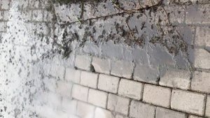 Очистка тротуарной плитки от грязи и забитых швов заросшими мхом