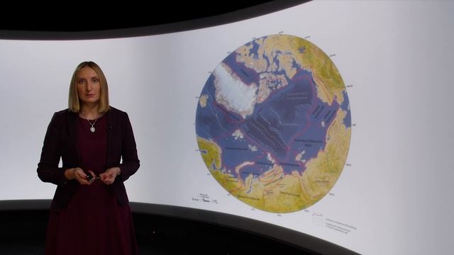 «Геологическое строение и перспективы нефтегазоносности акваториальных бассейнов РФ». Анна Суслова.