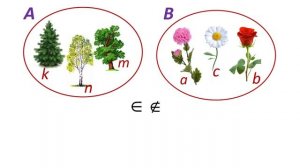Математика 2 класс. «Множества. Знаки ∈  и ∉  Объединение множеств и разделение на части»
