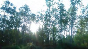 утренняя проверка сетей...