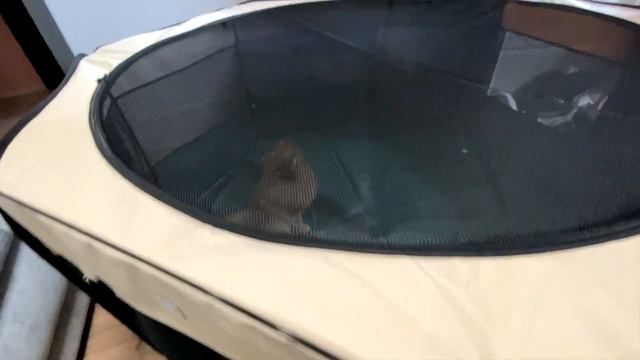 Распаковка посылки для собак #1. Вольер, домик, лежак, туалет для шпица. Triol. Gamma смотреть онлайн