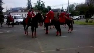 Парадные казаки на конях. г. Краснодар 14 мая 2017 г. (1)