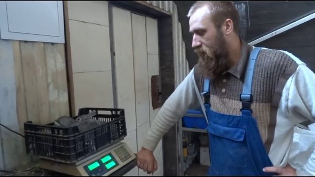 Кролики: Смотрите на ЯИЧКИ, // Молочность крольчихи ! смотреть онлайн