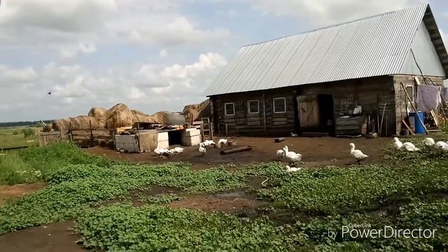 ПОДАРОК ОТ ПОДПИСЧИЦЫ/В ГОСТЯХ У ПОДРУГИ/РЫБАЛКА 19 июля 2018 г. смотреть онлайн