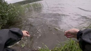Как ловить фидером на водохранилище с ровным дном! Рыбалка на фидер в Августе!