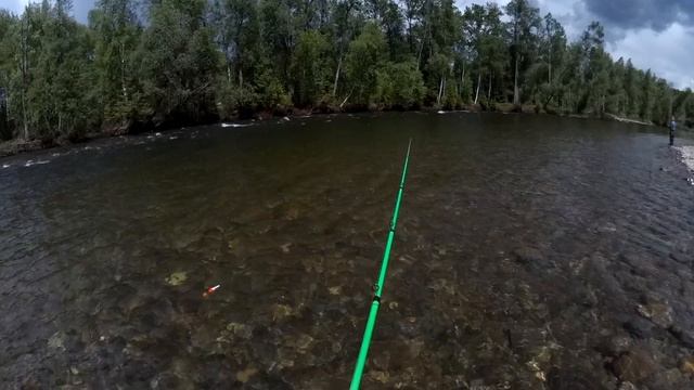 Разведка боем. Мы на р. Гоуджекит. Часть 4. Мухи поменяли и первый хариус  попался. смотреть онлайн