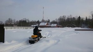 Динго т-125