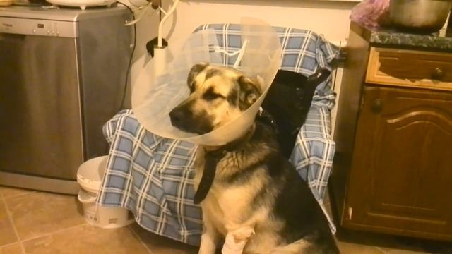 Бублик НА смотреть онлайн