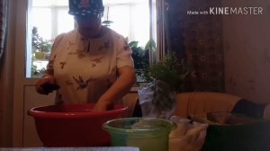 Лесной папоротник