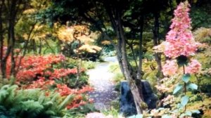 Брахмачарья, целибат, воздержание, целомудрие, оджас