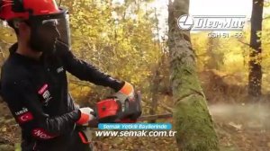 Oleomac gsh 56 vs oleomac gsh 51