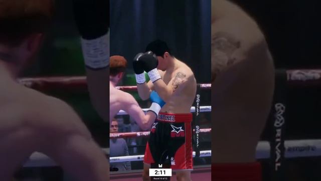 Canelo vs Sergio Martinez- 15 hit combo no Knockdown.