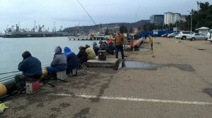 Пристань г.Туапсе 22.03.2017, ловля кефали в черном море.