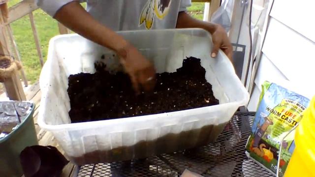 GARDENING IN 5 GALLON BUCKETS - Cheap & Easy For Beginners - Dollar Tree Soil - Containers #WITHME смотреть онлайн