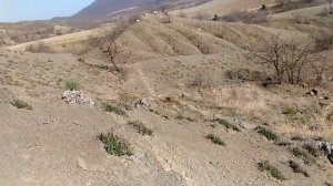 Крым, Судак, древняя кладка на горе Таракташ за Дачным. Март 2017