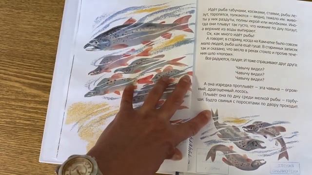 Книжки и картинки. Иллюстраторы детской книги. Никита Чарушин смотреть онлайн