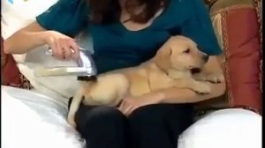 Щетка пылесос Auto Pet Shaver, для удаления шерсти животных