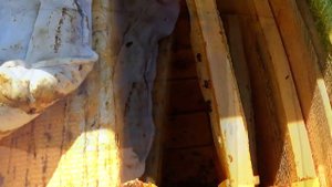 Улей для начинающего пчеловода. Самый бюджетный вариант улья! Дешёвые и простые улья для пасеки.