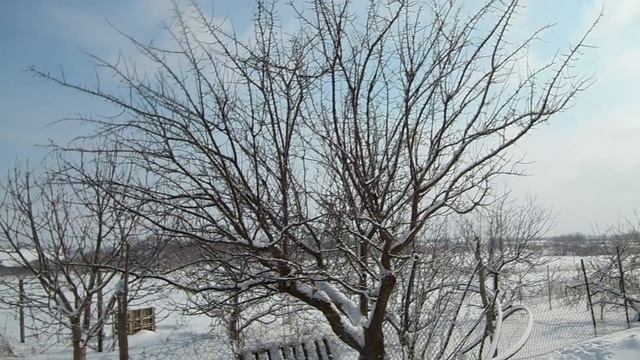 Теплица из стрейчплёнки. Почему стрейчплёнка, а не поликарбонат